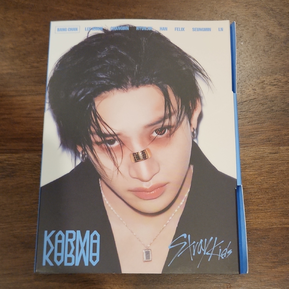 Stray Kids Karma Bang Chan Accordian Felix & Lee Know Photo Cards All Inclusions
